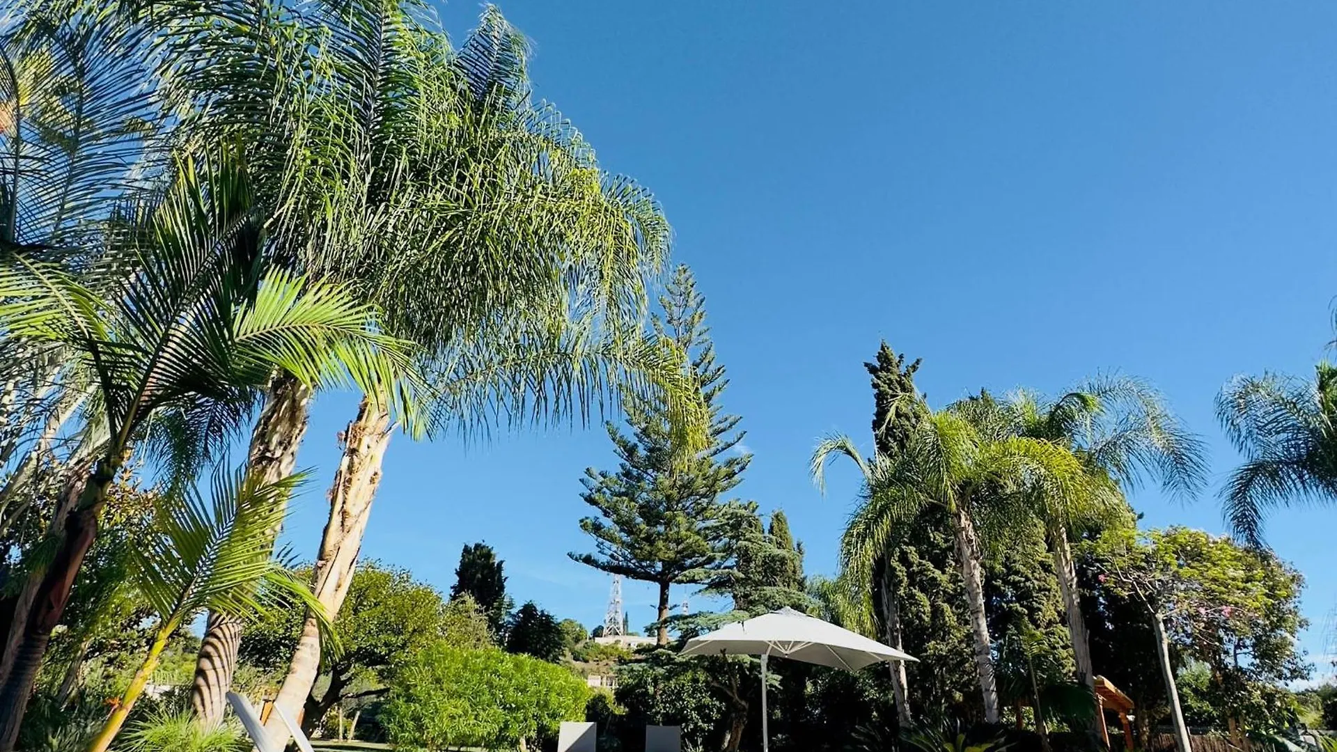 Pensión La Pina Verde Estepona